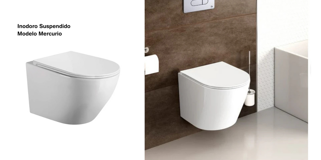 Elegir un inodoro y acertar en la compra